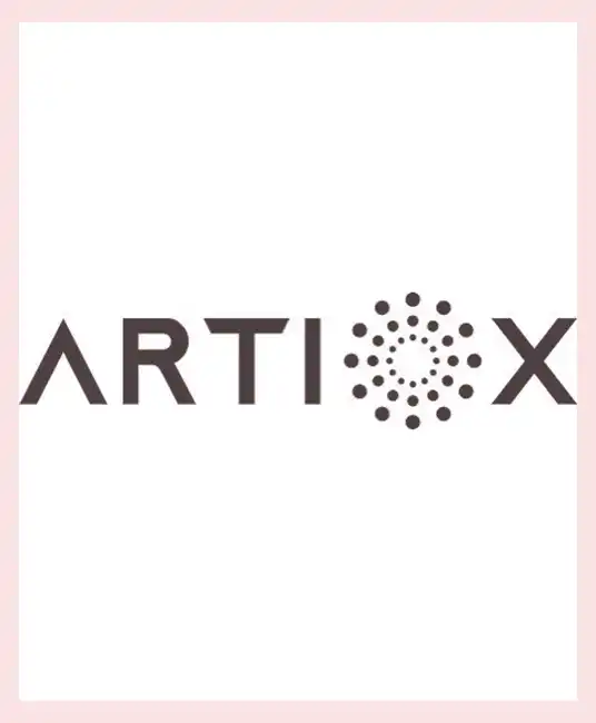 Innovative Solutions in Art Investments: Artiox’s Vision